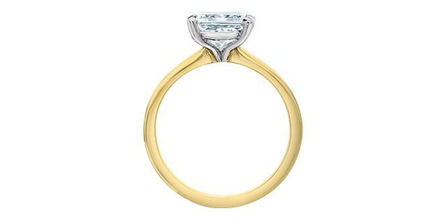 Diamond Evolution 14k yellow a