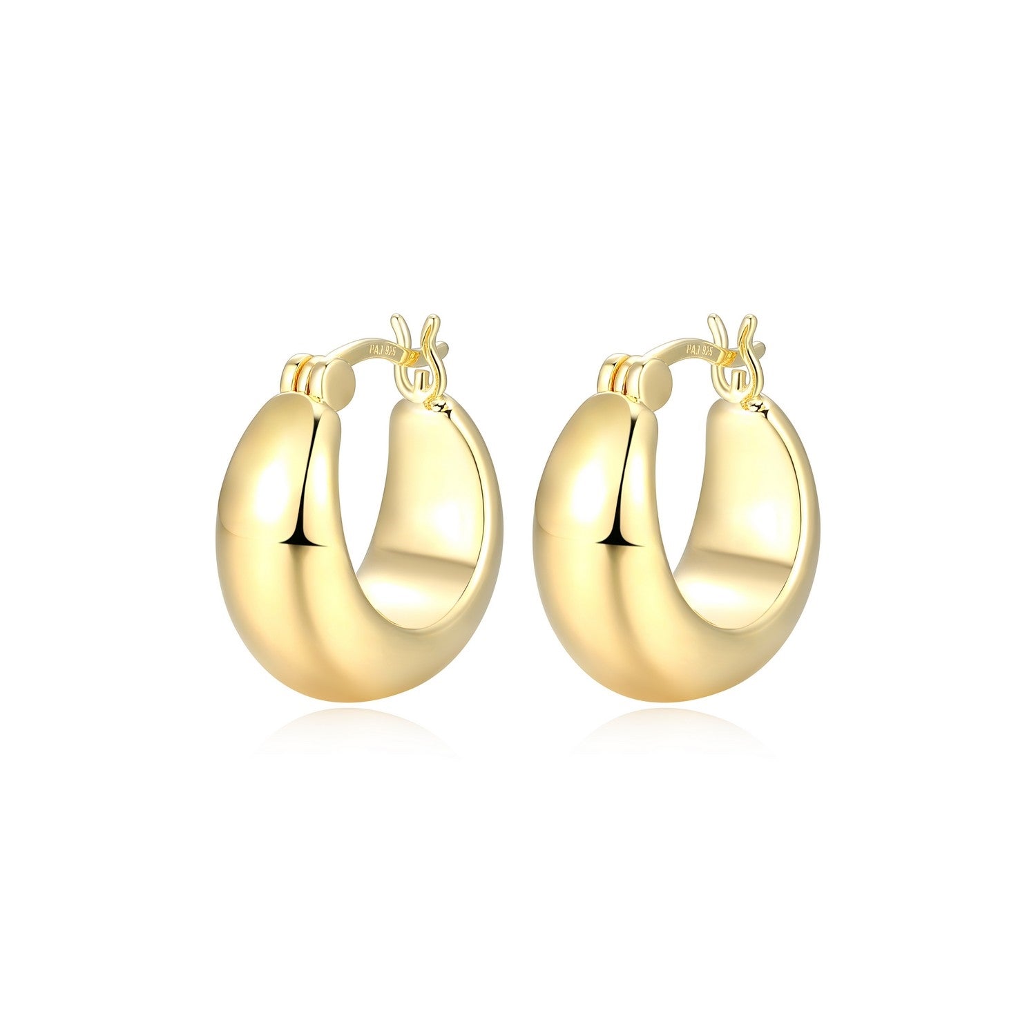 Sculpted Hoop Earrings
