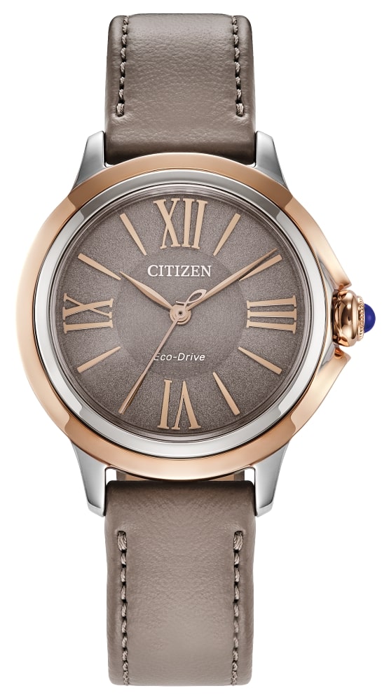 Citizen Ceci EM1166-01Z. Featu