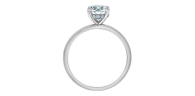 Diamond Evolution 14k white go