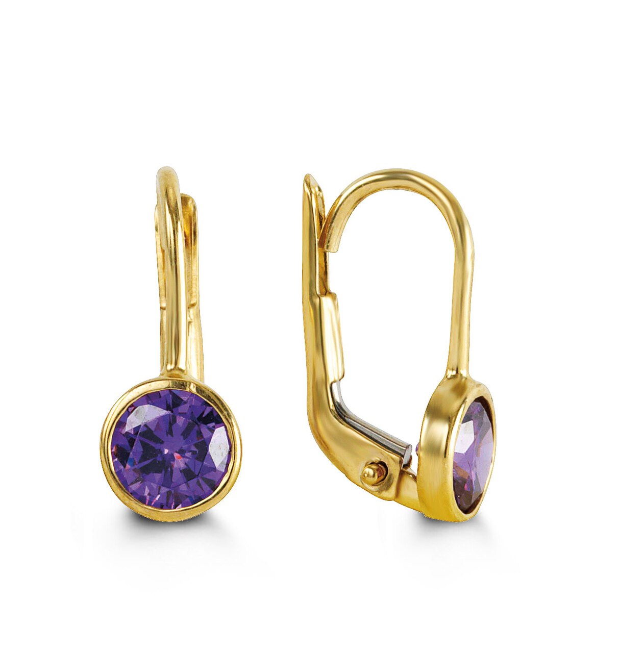 Bella 10K February Birthstone Earrings