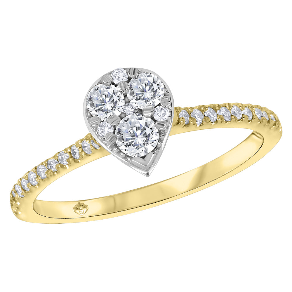 Fire & Ice Canadian 14 karat y