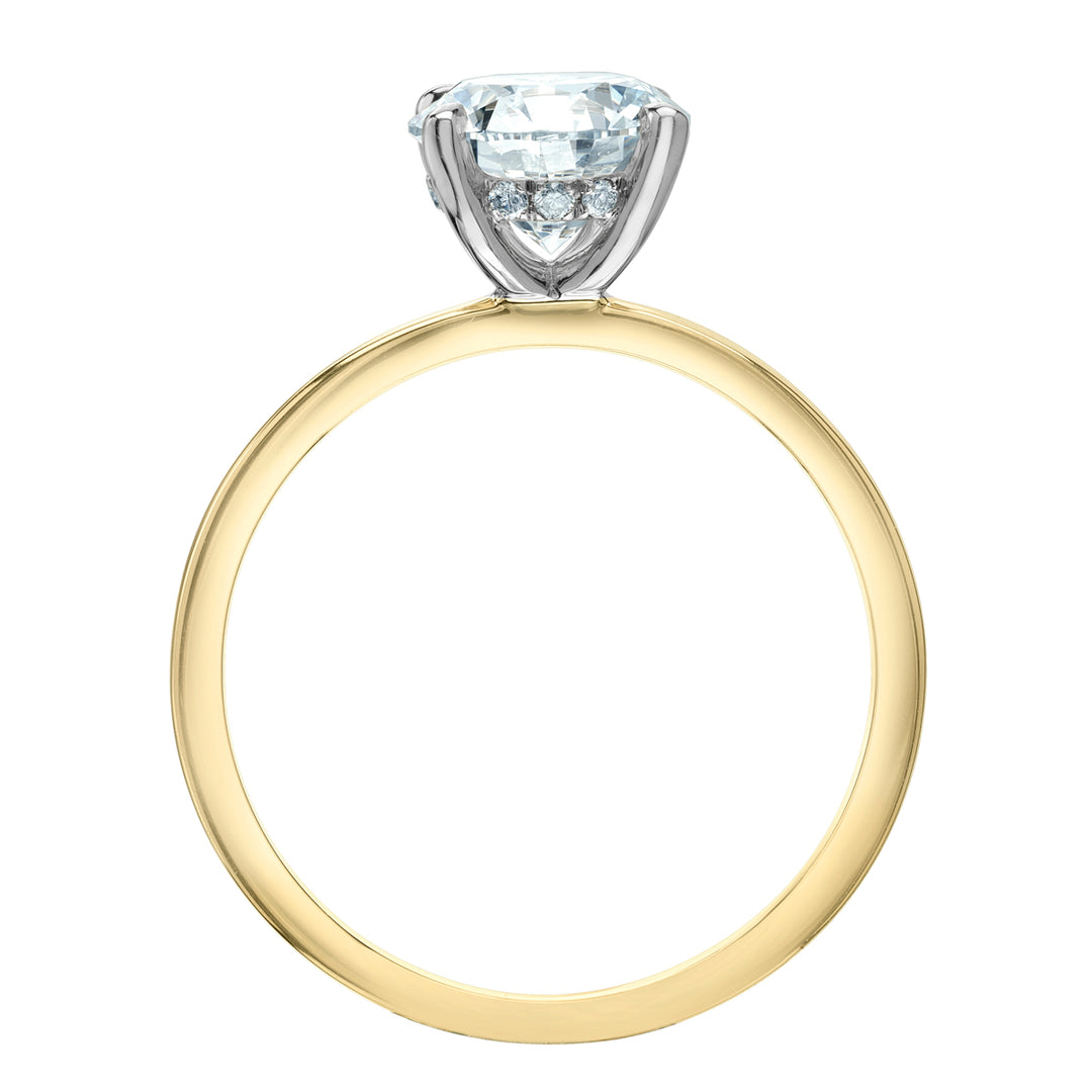 Diamond Evolution 14ky 0.70ct LG Round Cut Hidden Halo Engagement Ring 0.74tdw