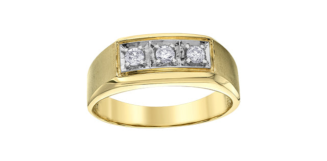 10 Karat Contemporary Ring, TDW
