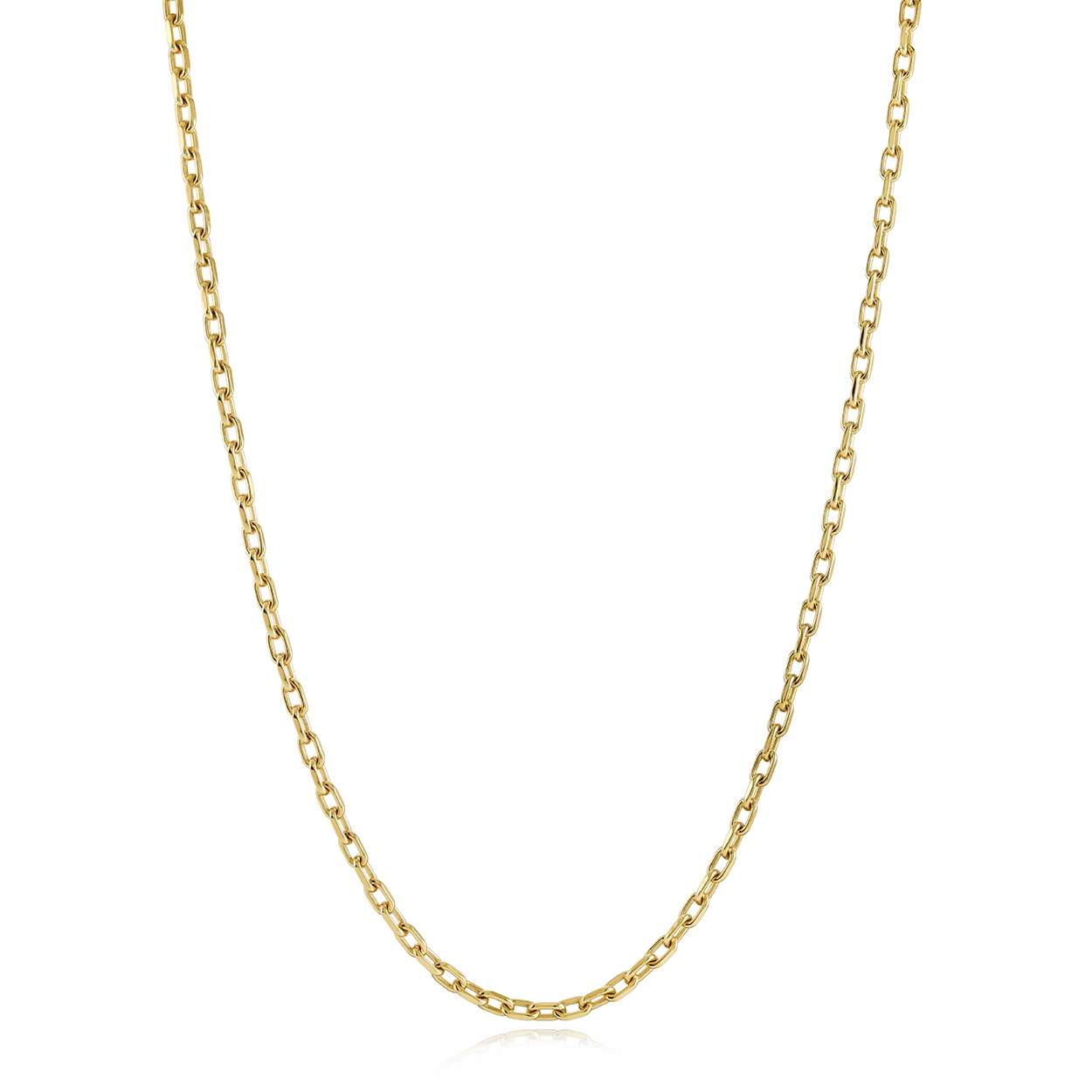 Veloria gold ion-plated stainl