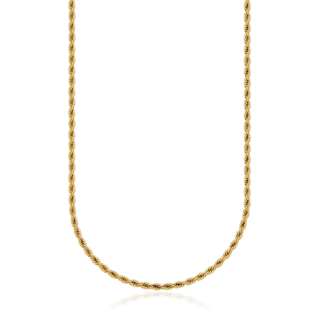 SteelX gold ion-plated stainle