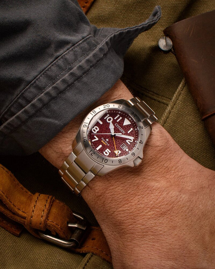 Citizen Promaster Land GMT