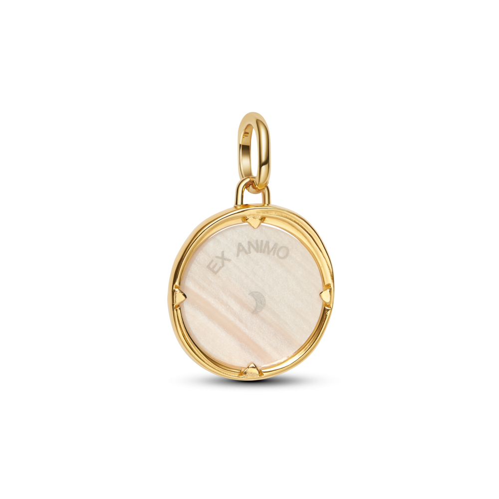 Pandora Pegasus Medallion Charm