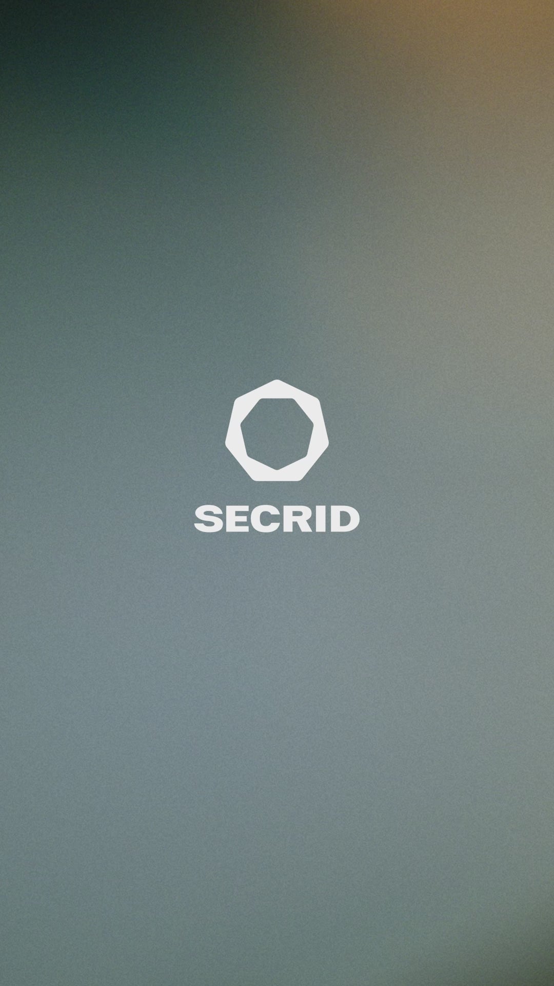 Secrid Premium Envelope Wallet